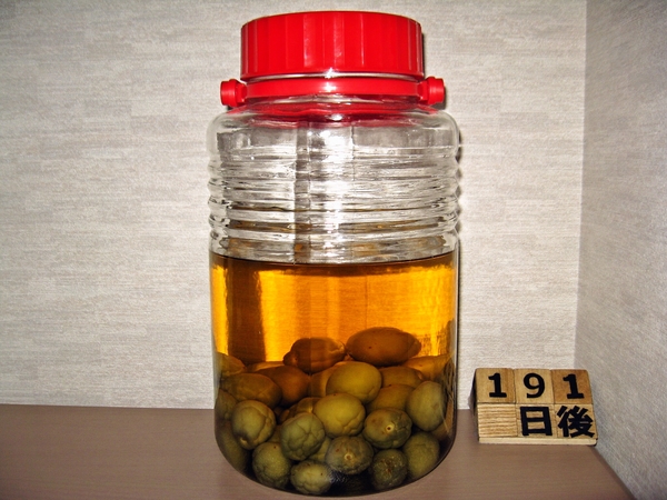 2015-12-04 梅酒