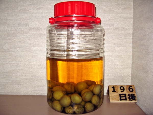 2015-12-09 梅酒01