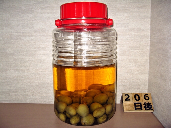 2015-12-19 梅酒