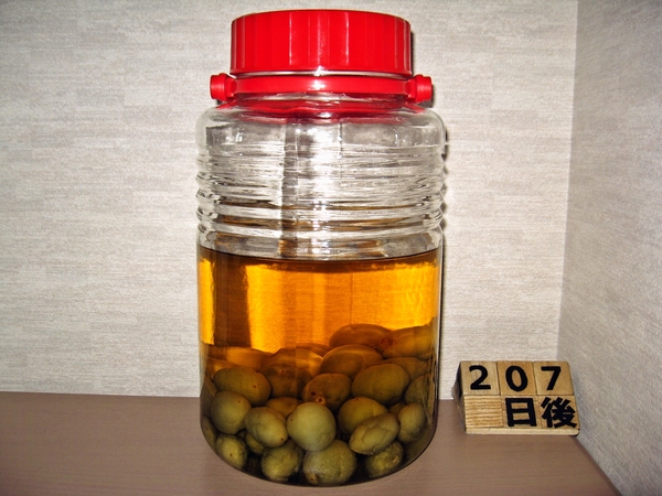 2015-12-20 梅酒