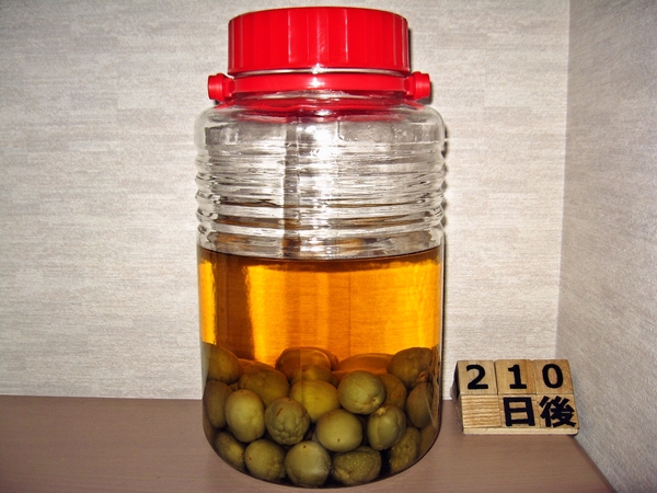2015-12-23 梅酒
