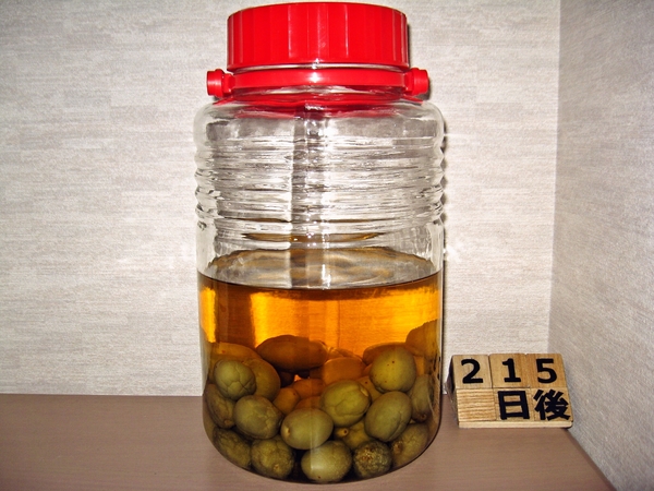 2015-12-28 梅酒