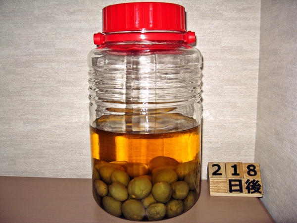 2015-12-31 梅酒