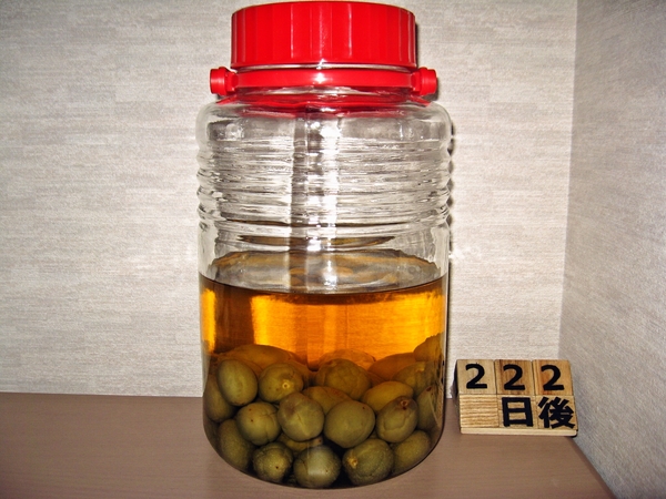 2016-01-04 梅酒