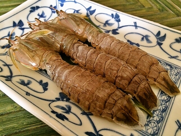 生シャコ刺し
