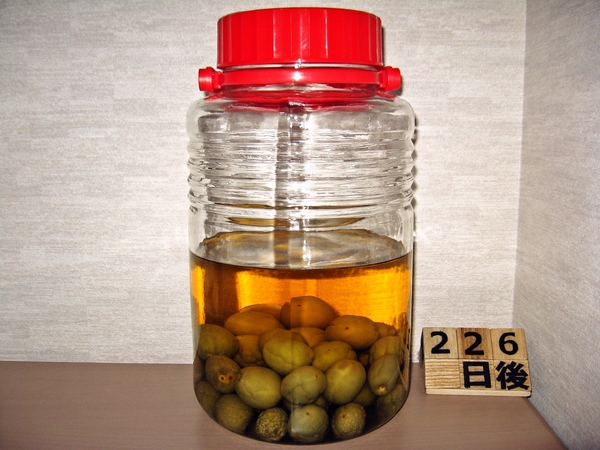 2016-01-08 梅酒