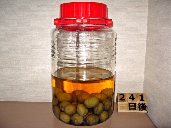 2016-01-23 梅酒