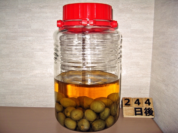 2016-01-26 梅酒