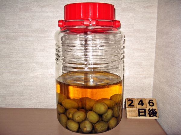 2016-01-28 梅酒