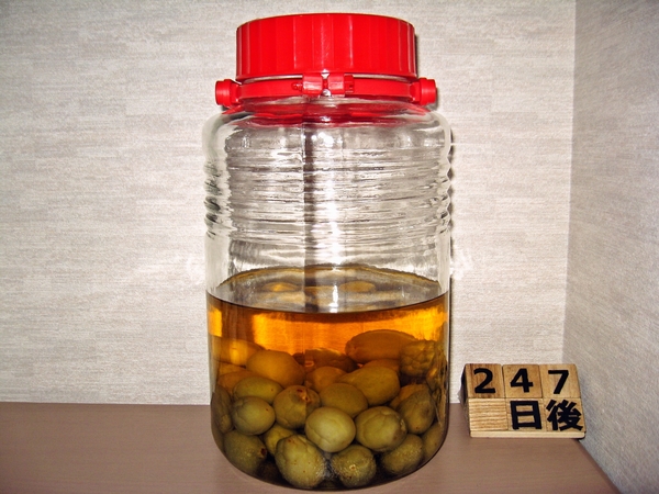 2016-01-29 梅酒