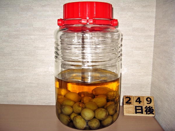 2016-01-31 梅酒