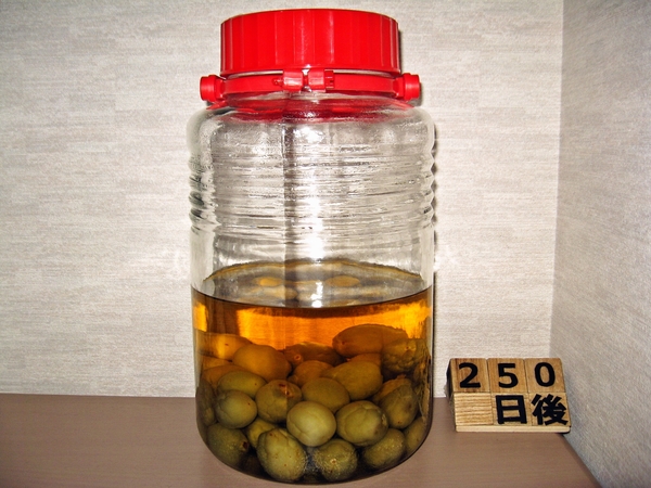 2016-02-01 梅酒