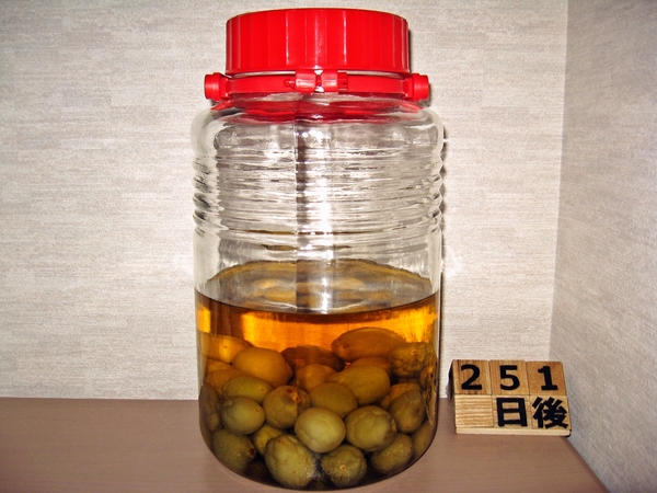 2016-02-02 梅酒