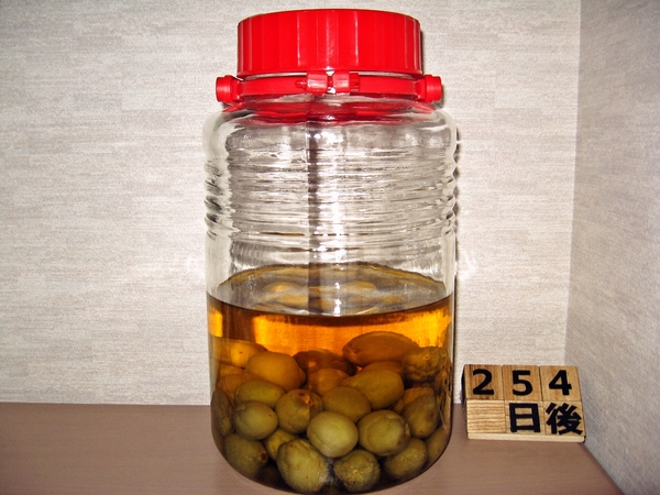 2016-02-05 梅酒