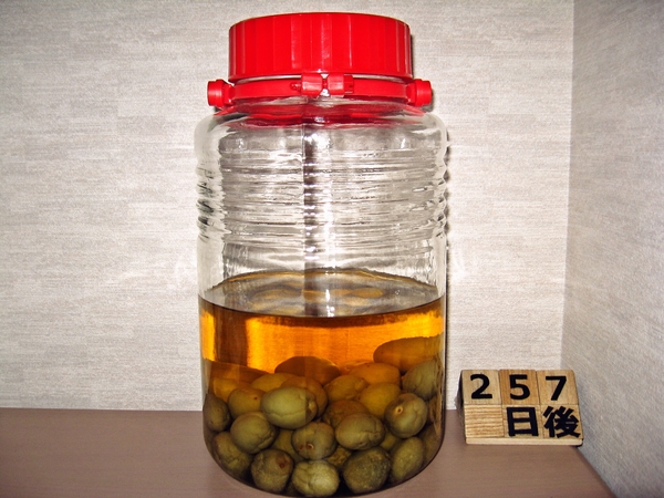 2016-02-08 梅酒