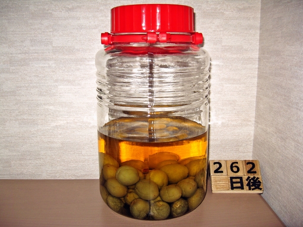 2016-02-13 梅酒