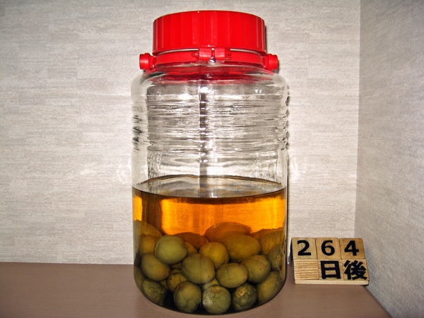 2016-02-15 梅酒
