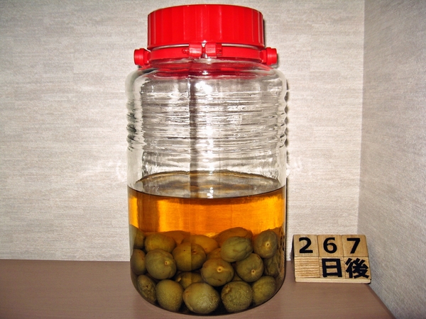 2016-02-18 梅酒