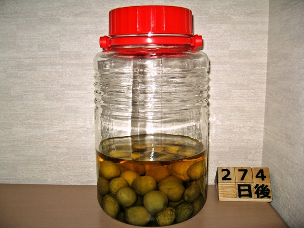 2016-02-25 梅酒