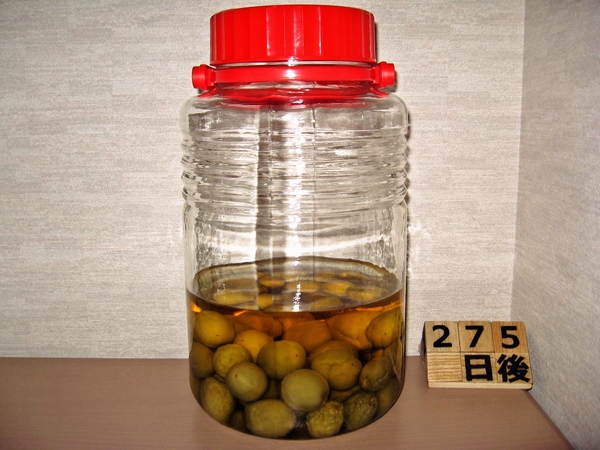2016-02-26 梅酒