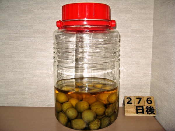 2016-02-27 梅酒
