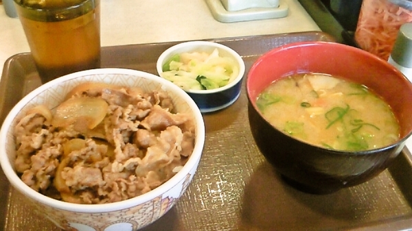 すき家の牛丼とん汁お新香セット＠490円