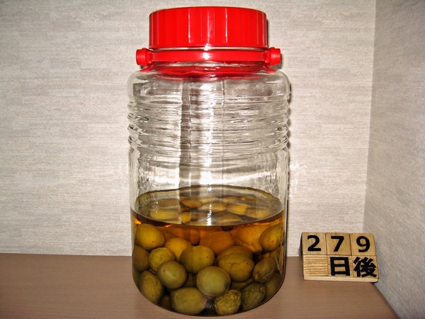 2016-03-01 梅酒