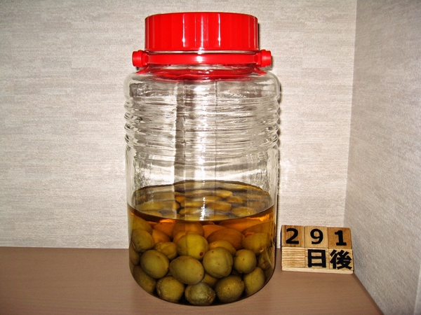 2016-03-13 梅酒