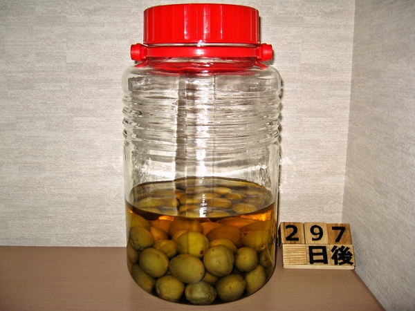 2016-03-19 梅酒