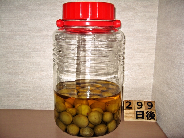 2016-03-21 梅酒