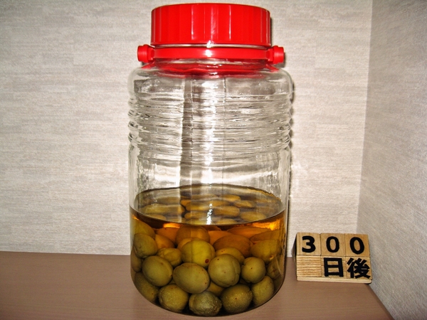 2016-03-22 梅酒(300日後)01