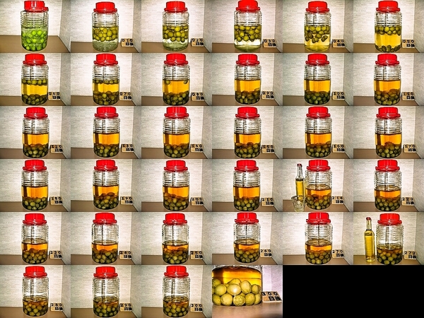 2015年梅酒まとめ 2015.05.27～2016.03.22