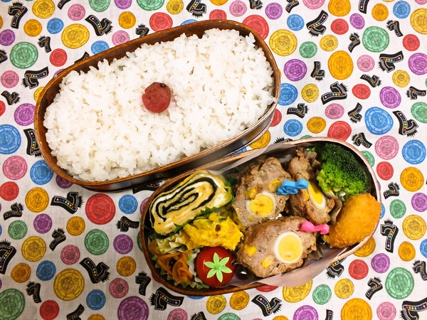ヒルナンデスの煮込みハンバーグ弁当