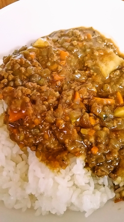 キーマカレー風