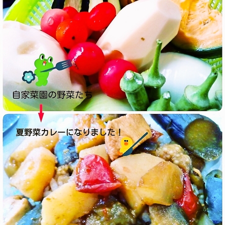 夏野菜カレー♪
