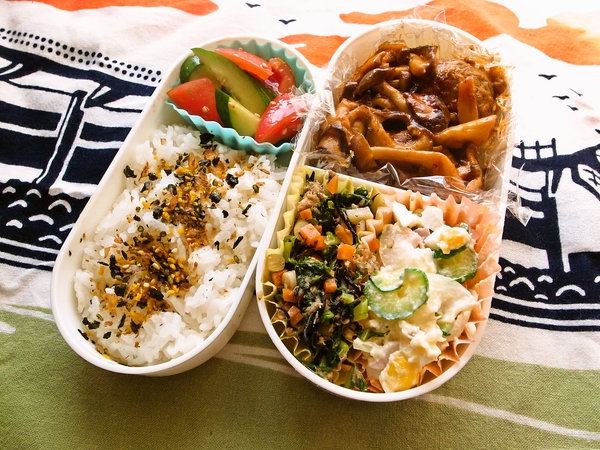 煮込みハンバーグ弁当