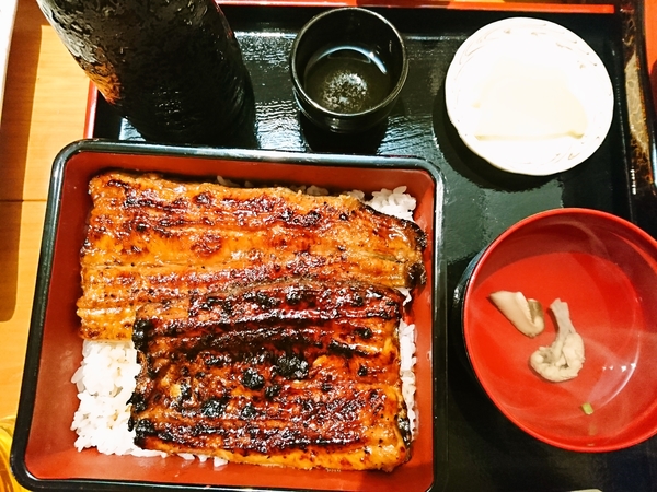 わがつのうなぎ