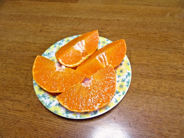 2017-02-04 甘平02
