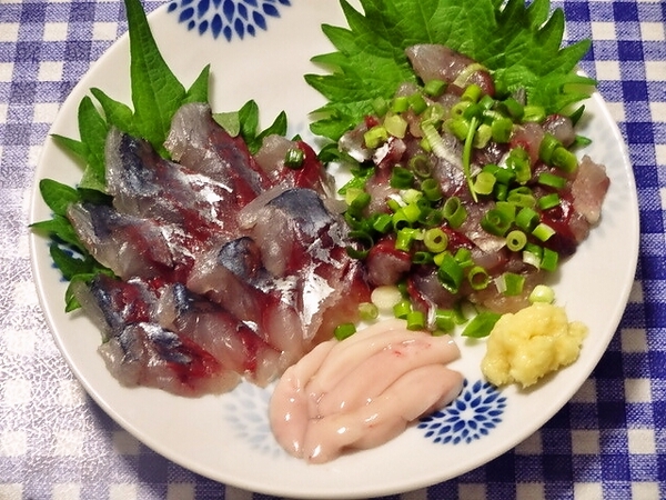 マルアジ（アオアジ）の刺身＆タタキ（湯通しした白子付き）