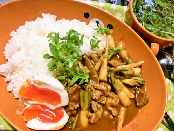 和風大根カレー