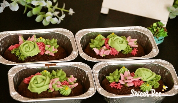 多肉植物のチョコレートケーキ