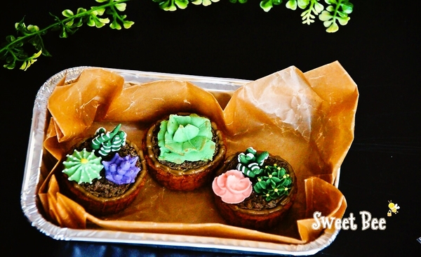 多肉植物アイシングクッキー