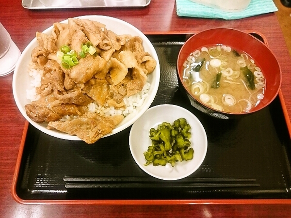 豚肉めし(中)