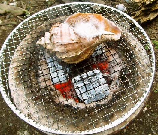 七輪でつぶ貝