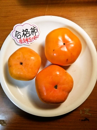 受験生にオススメ！合格柿！