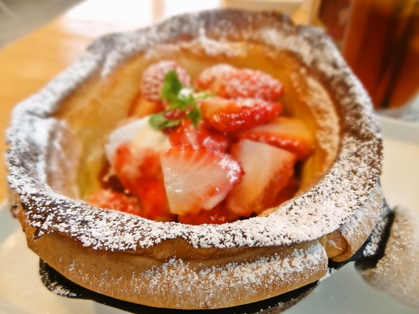イベントツールで紹介中のBOWLS （ボウルズ）