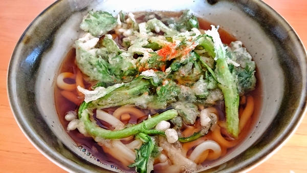 天ぷらうどん(春菊)