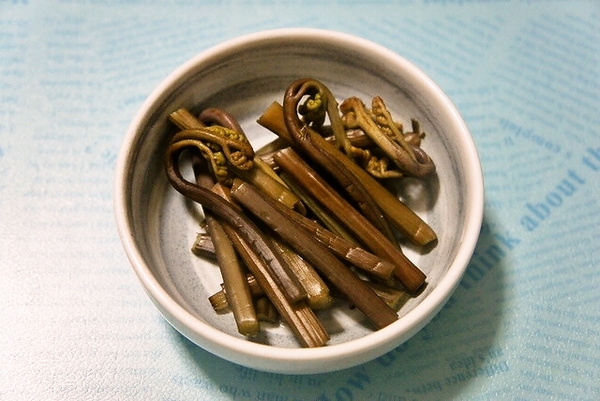 蕨(ワラビ)