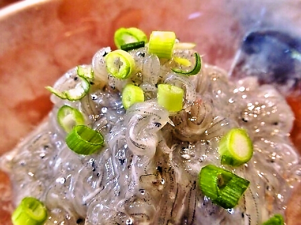うつみ食堂の生しらす