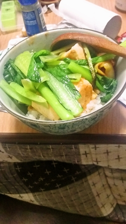 マーボー丼（激辛）